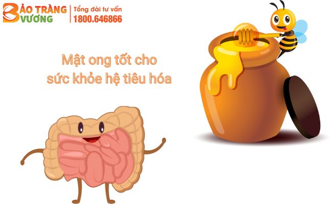 Mật ong có nhiều lợi ích cho đường tiêu hoá