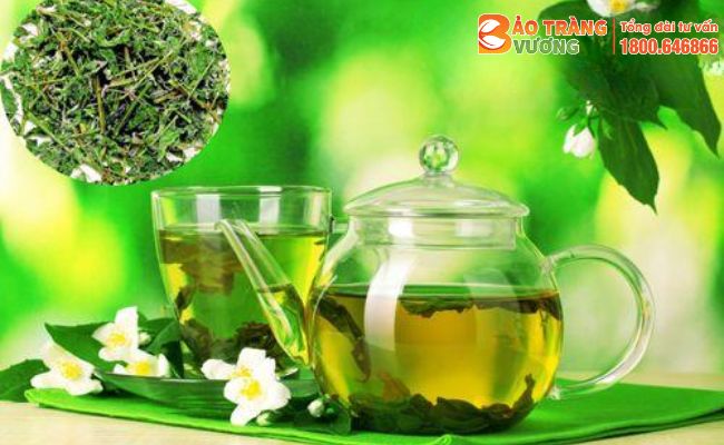 Cây Chè dây có tác dụng chống oxy hóa, giảm đau chống viêm rất tốt