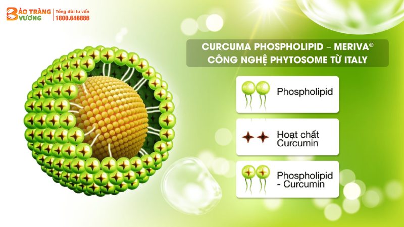 Các nhà khoa học Indena thuộc Italia đã nghiên cứu công nghệ Phytosome với Curcumin