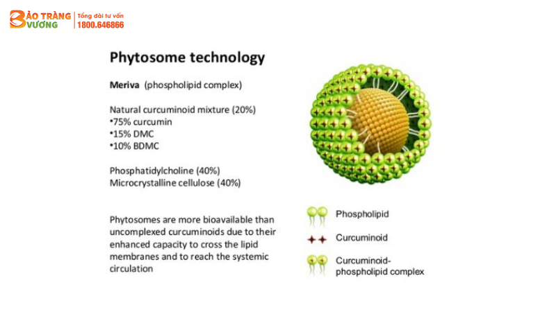 Tính tan của curcumin được cải thiện rất tốt