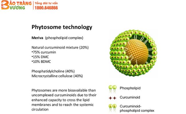 Cấu trúc của Curcuma phospholipid (Curcumin phytosome)