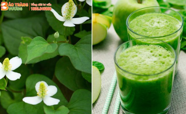 Xay nước Diếp cá để dễ sử dụng
