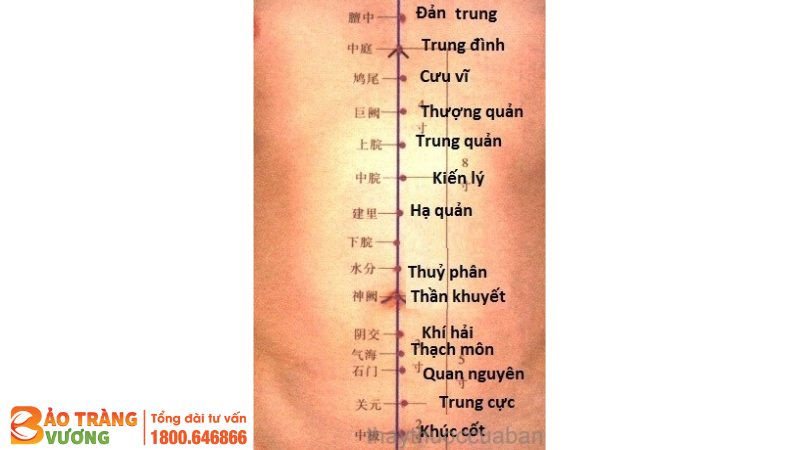 Các vị trí huyệt trên cơ thể