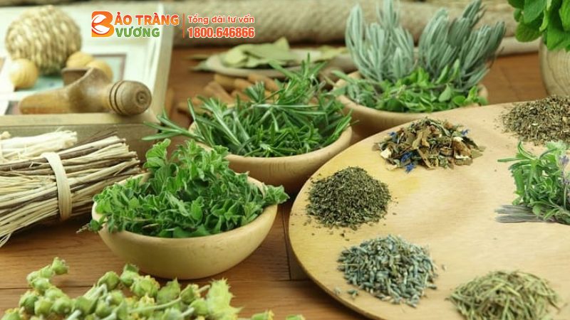 Ưu điểm của các vị thuốc Nam đó là rất an toàn, lành tính