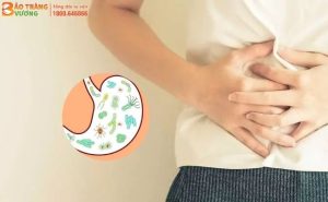 Tổng quan về rối loạn tiêu hóa và cách phòng ngừa hiệu quả