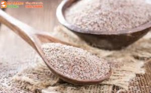 Vỏ hạt Mã đề giúp xua tan nỗi lo về các bệnh tiêu hóa