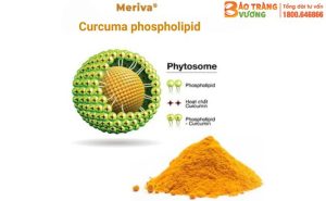 Những ưu điểm vượt trội của Curcuma phospholipid