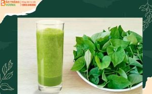 Diếp cá - Loại rau có mùi khó chịu nhưng tốt cho đại tràng